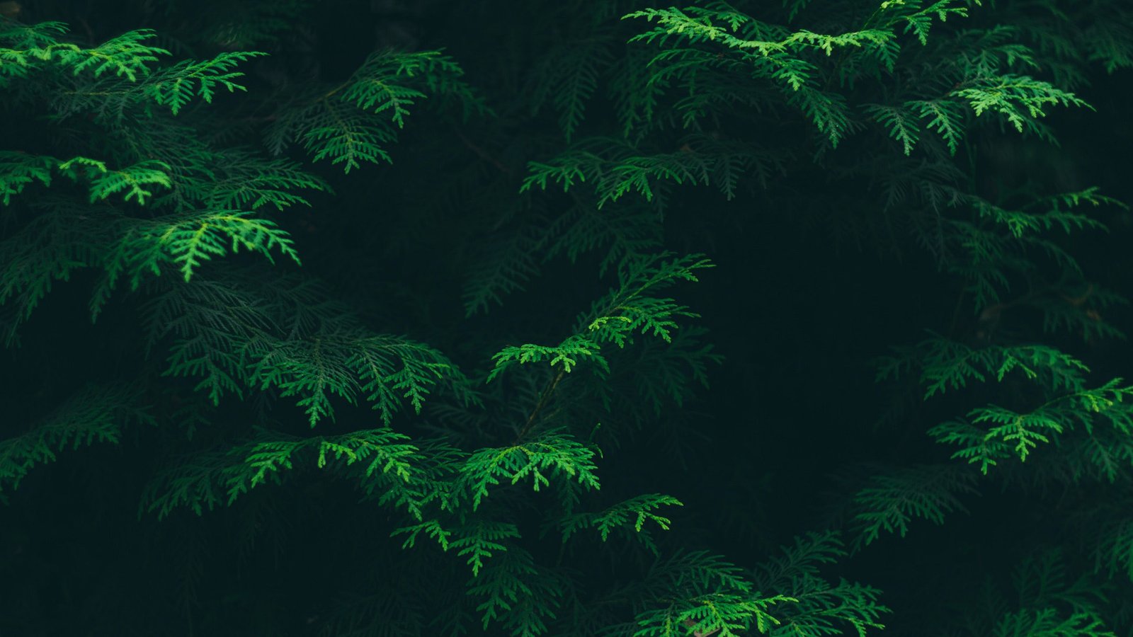 如何挖掘网站关键词,挖掘网站关键词教程