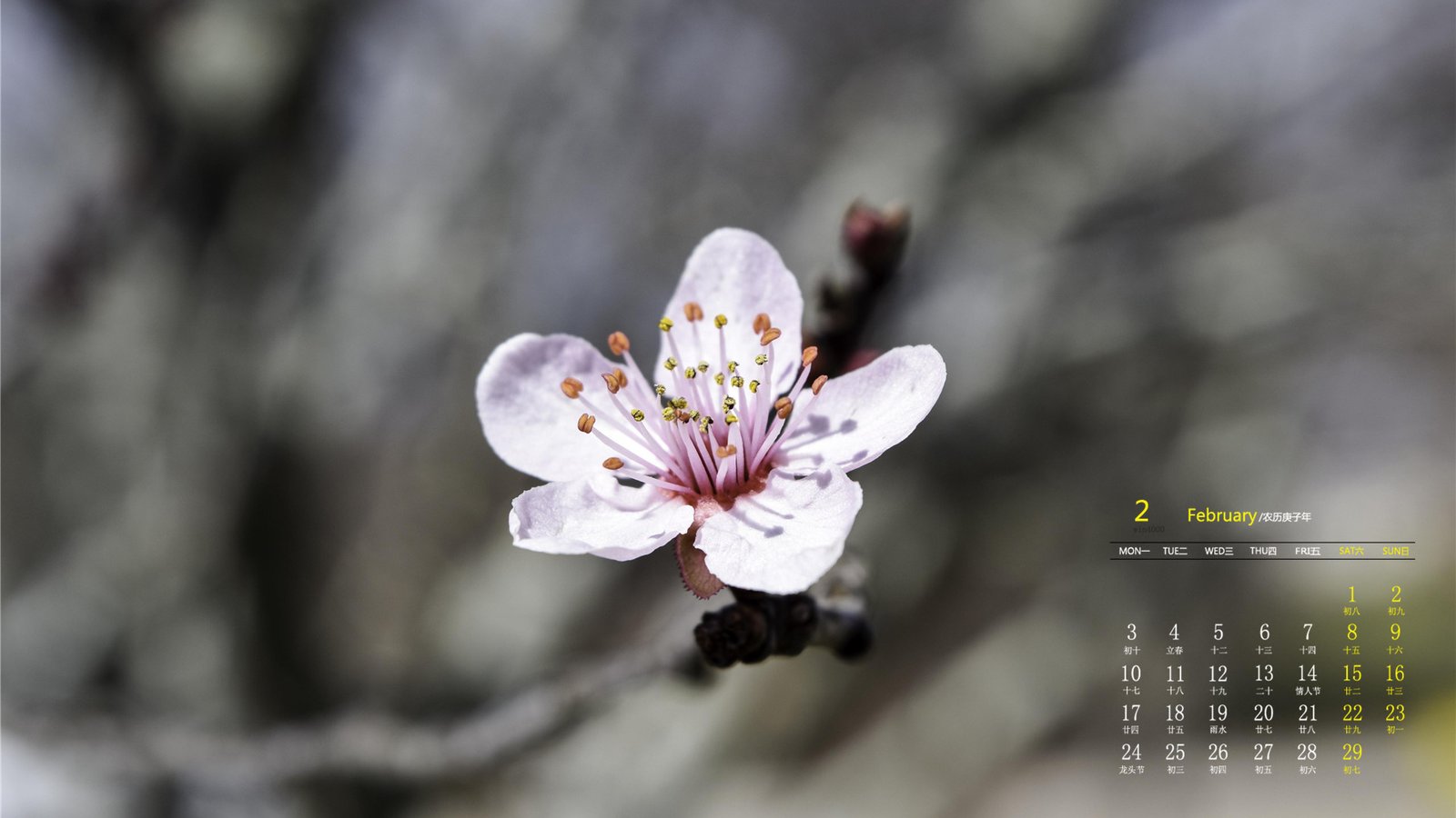 网赚是真的吗?刷小视频真的可以赚钱吗