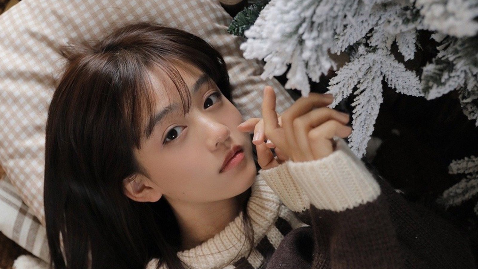 安全联盟是什么梗?安全联盟第三方公司很皮啊