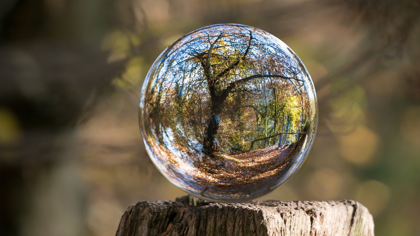 WellCMS - 承载亿级数据的高负载轻CMS系统