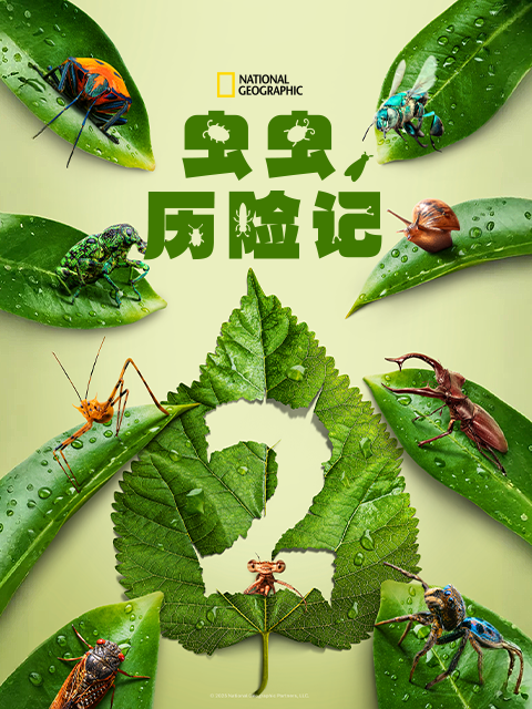 虫虫历险记 第二季