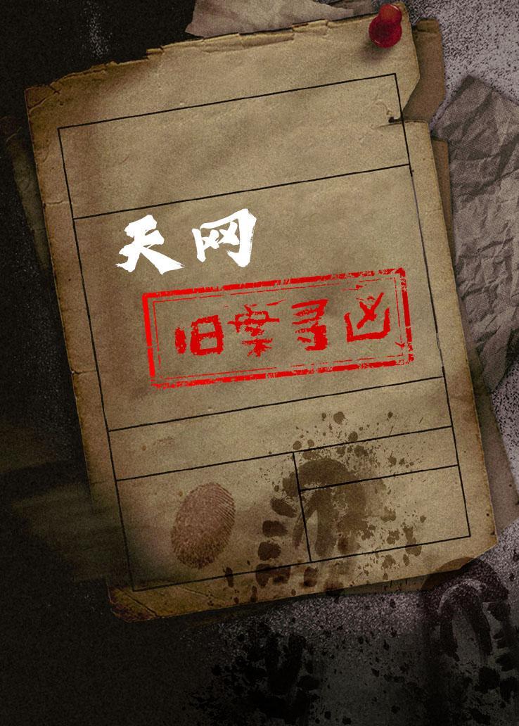天网：旧案寻凶