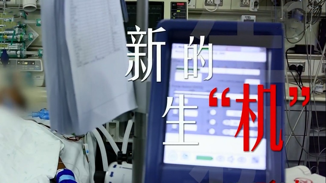 生命缘 第12季