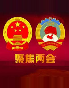 2019全国政协十三届二次会议特别节目CCTV-13新闻