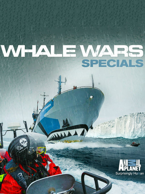 护鲸大战：战斗伤痕