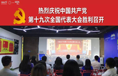 深圳工业设计行业协会收看十九大开幕会：为推动工业设计高端国际化发展贡献深圳力量