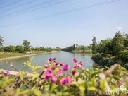 “合村并镇”行动开启,2大好处来袭,3类村子优先,好日子要到了