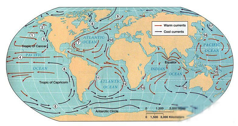 世界洋流图世界洋流图高清版大图世界地形图超清可放大