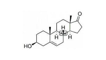 去氢表雄酮; 脱氢表雄甾酮