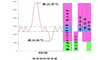 潮气量