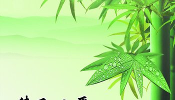 背景 壁纸 风景 绿色 绿叶 树叶 植物 桌面 350_200