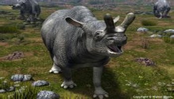 王雷兽(学名 brontotherium)是一属已灭绝的奇蹄目哺乳动物,属于雷兽