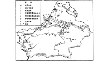 新疆是一个多民族地区 新疆原有汉族,维吾尔族,哈萨克族,回族