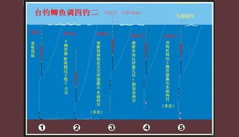 调四钓二