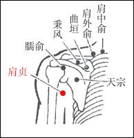 o hǎi(sl8)  【定位】:在肘内侧,当尺骨鹰嘴与肱骨内上髁之间凹陷处