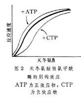 别构效应