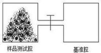 真密度