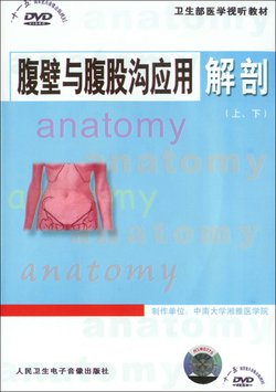 腹壁及<em>腹股沟</em>区应用<em>解剖</em>_360百科