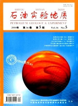 石油实验地质_360百科