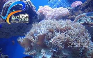 【全国】武汉极地海洋世界门票135元1张【9折