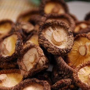 五分文 古田食用菌农家土特产 干货土特产蘑菇