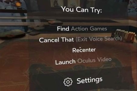 Oculus Voice2.jpg
