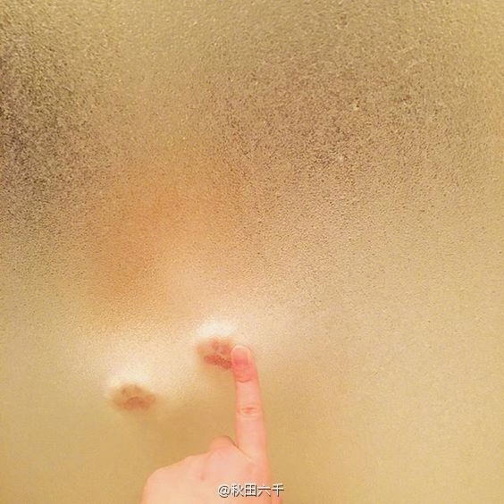 你和恐怖大片之间只差了一块毛玻璃