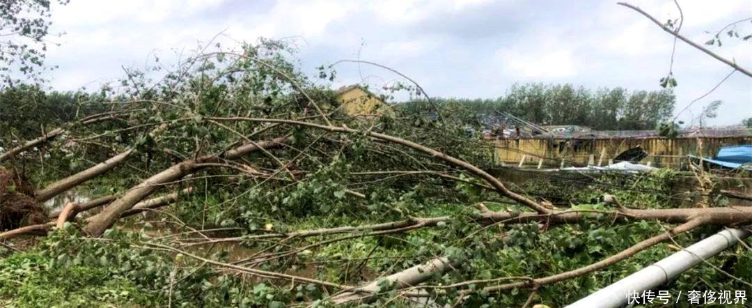 江苏徐州一所精神病医院墙体倒塌, 3名病人死