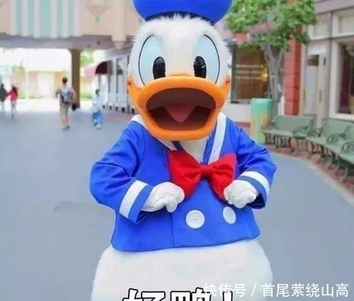 看完《喜欢你我也是》,杨倩倩为何被吐槽