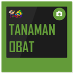 Tanaman Obat