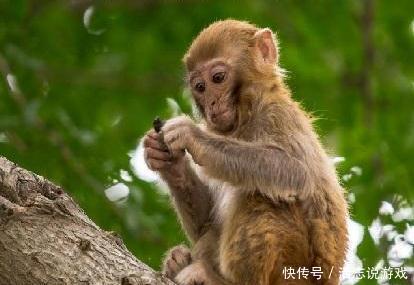 孙悟空大闹天宫的时候很厉害,为什么取经路上却很惨? 百万发网站