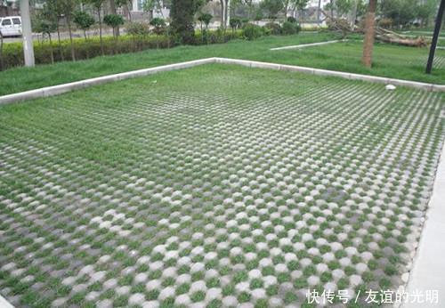 防潮箱使用方法防潮的必备用品 博九在线娱乐