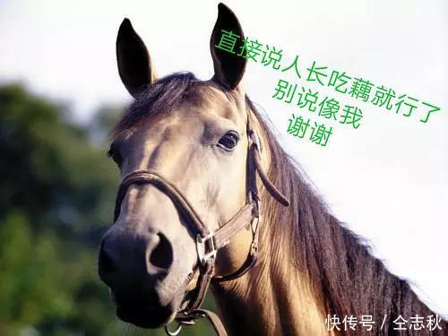 不要因为长的像什么、你就骂别人是什么,也请