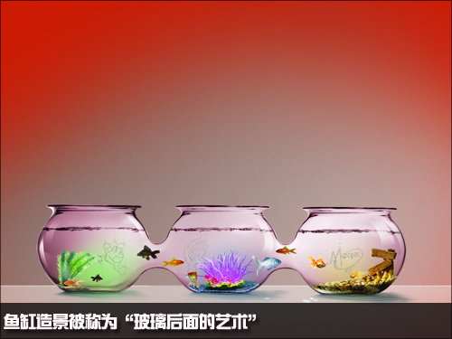 莒縣花卉市場(chǎng)魚(yú)缸批發(fā)（莒縣花卉市場(chǎng)魚(yú)缸批發(fā)電話）