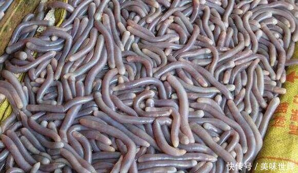 农村小伙的婚宴, 有道菜看了想吐, 却要八百块钱