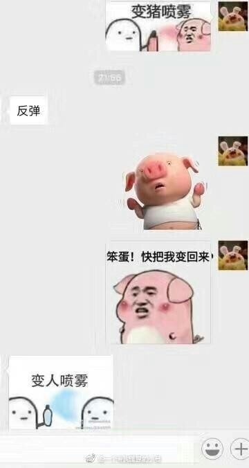 t010541a3aa1fcd314a.jpg