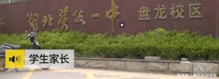 停职是什么意思