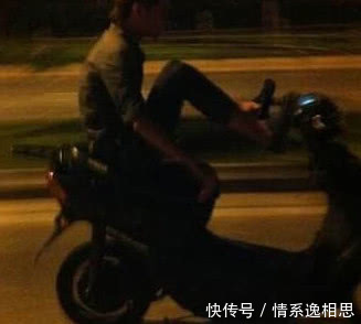 搞笑GIF图:泰迪的表情真a表情啊图片红包qq带搞笑的字图片