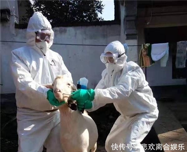 河南防疫有多硬