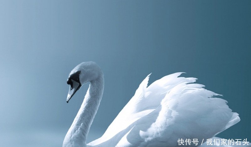 3生肖实力超群,中年开始贵人登门,事业大获成功,迎来财运曙光 澳门凯旋门网上堵场