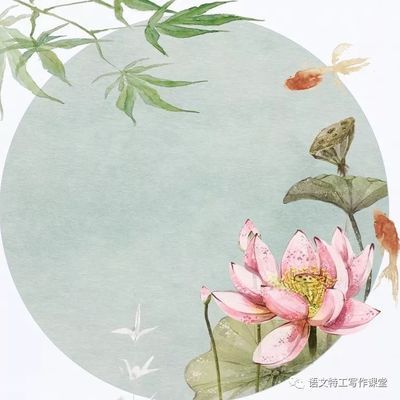 微缸鬼手葵的處理方法親測(cè) 大正錦鯉魚(yú)