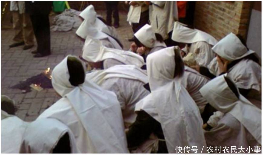 在农村,老人们的乡村俗语透露着大智慧,你知道几句呢?