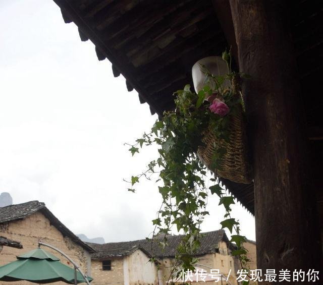 美丽中国行乡村篇湫山乡四都村环境整治 整出