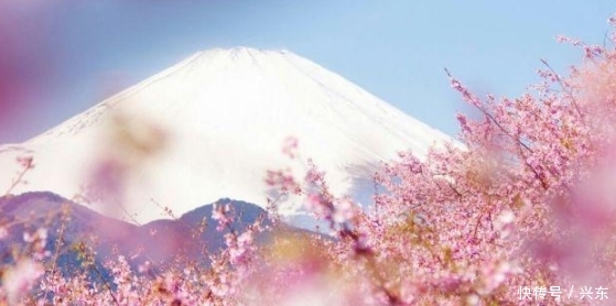 房东, 日本政府每年都向他交租金, 因为富士山是