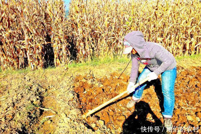 农村常说“头天胳膊二天腰，三天下来屁股烧”你知道什么意思吗