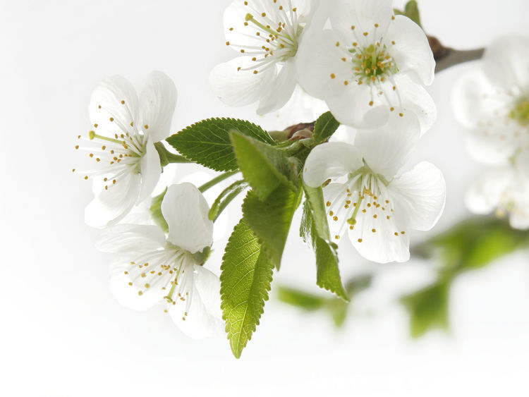 算命的说,财神关照,6月横财爆发,富得流油的三大生肖