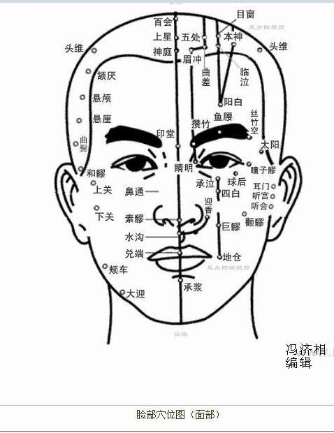 巨髎穴位位置图