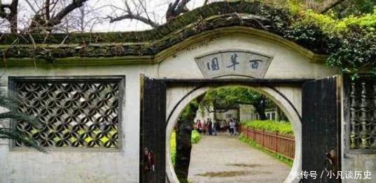 我家门口有两棵树