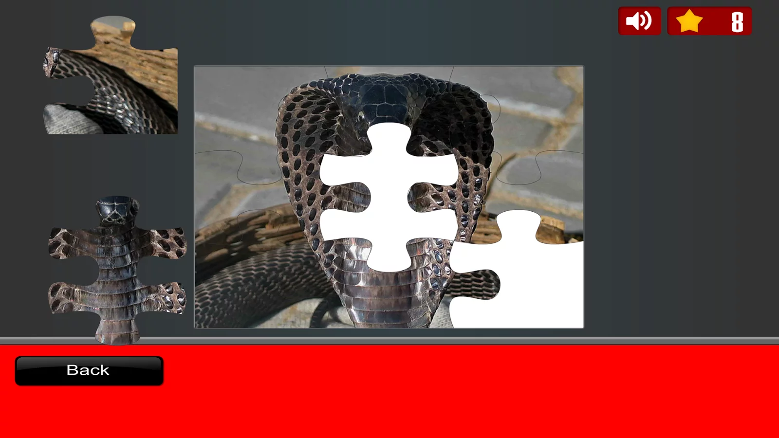 Snake Jigsaw Puzzles截图12