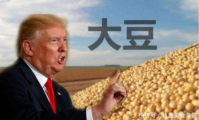 中国停购美国大豆,取消6.2万公吨订单转从巴西